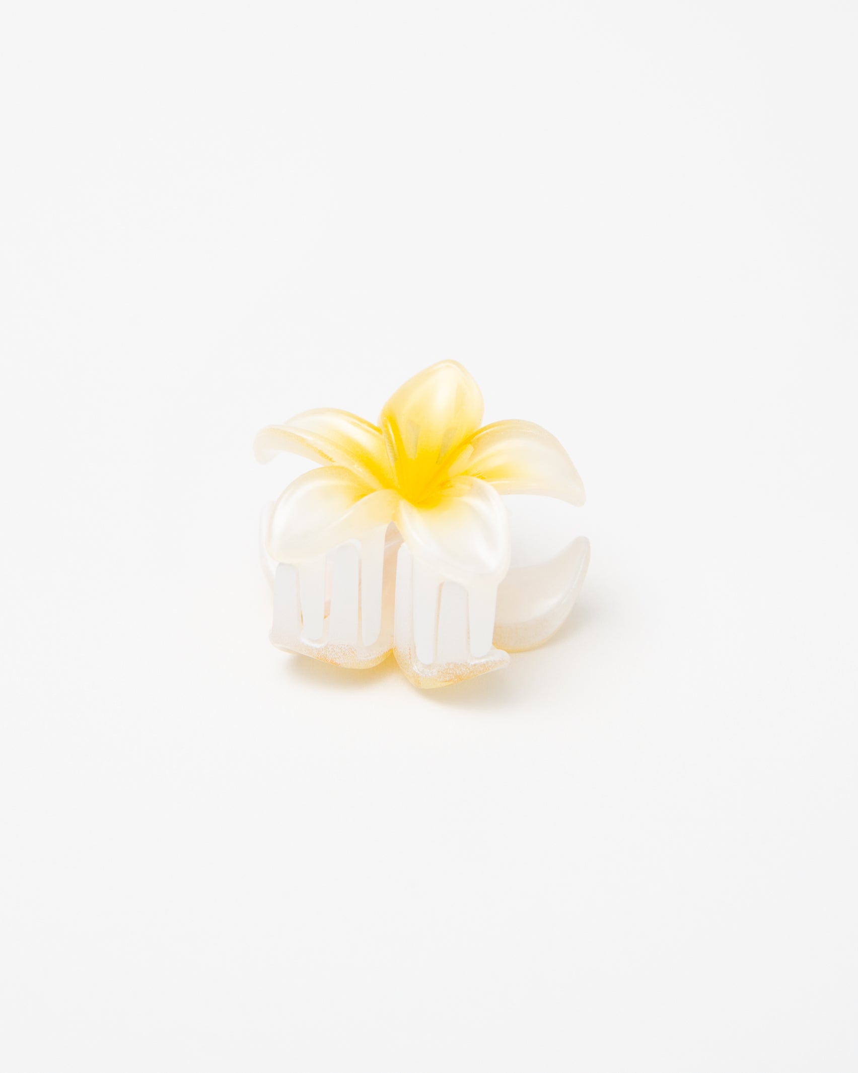 Kleiner weißer Blumenhaarclip-Broke+Schön
