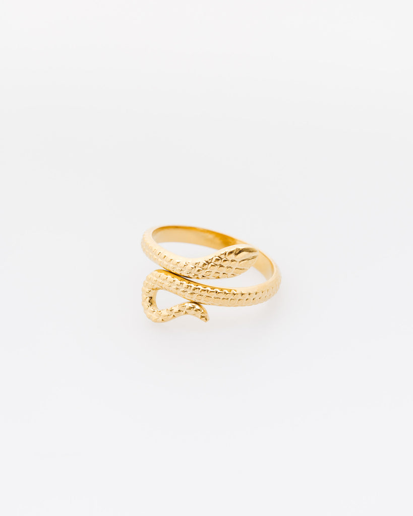 Schlangen Ring - Broke + Schön